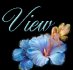 view guestbook
